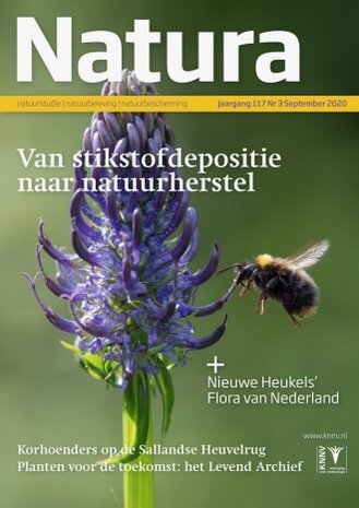 Natura Magazine