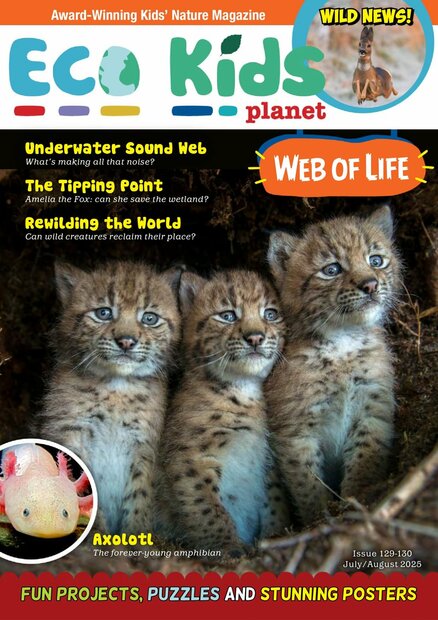Eco Kids Planet Magazine