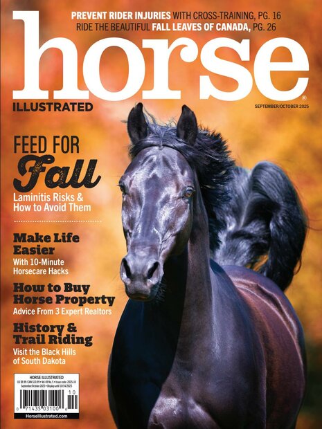 Horse illustrated Magazine