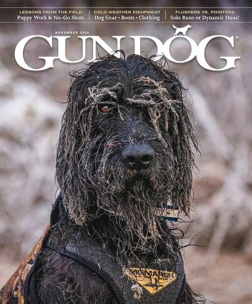 Gun Dog Magazine