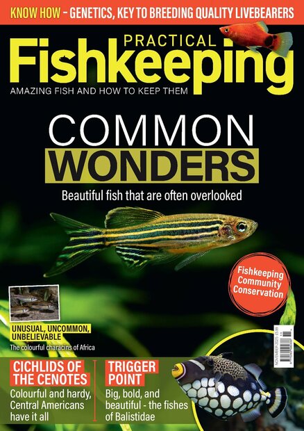 Practical Fishkeeping Magazine