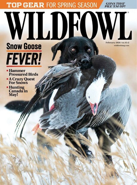 Wildfowl Magazine