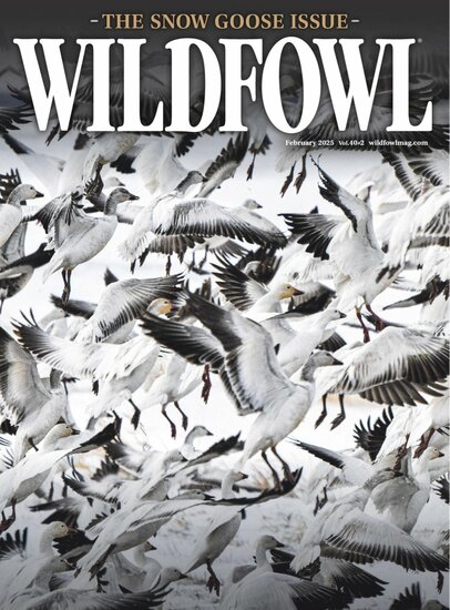 Wildfowl Magazine