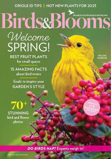 Birds &amp; Blooms Magazine