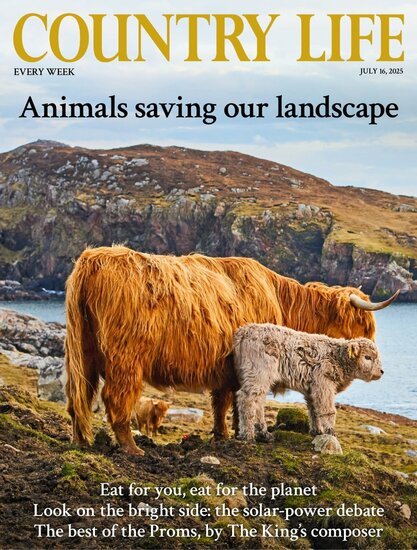 Country Life Magazine