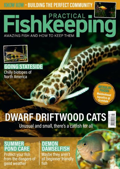 Practical Fishkeeping Magazine