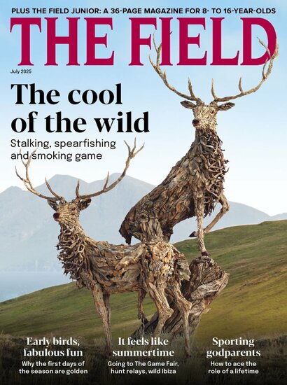 The Field Magazine