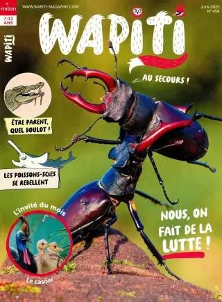 Wapiti