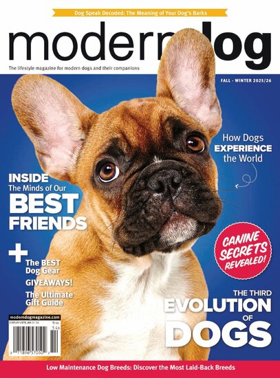 Modern Dog Magazine