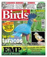 Cage &amp; Aviary Birds Magazine
