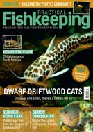 Practical Fishkeeping Magazine