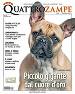 Quarter Horse Journal (Duits)