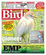 Cage &amp; Aviary Birds Magazine