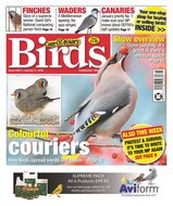 Cage &amp; Aviary Birds Magazine