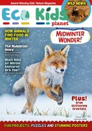 Eco Kids Planet Magazine