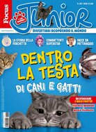 Focus Junior (Italiano)