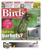 Cage & Aviary Birds Magazine 1