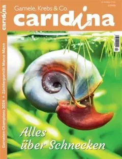 Caridina (Tyska)