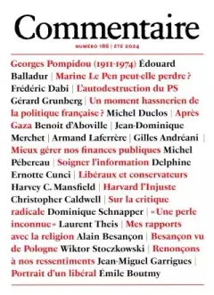 Commentaire (Franska)