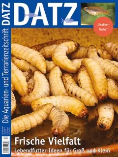 Datz (Tyska)