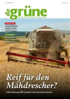 Die Grüne (Tyska)