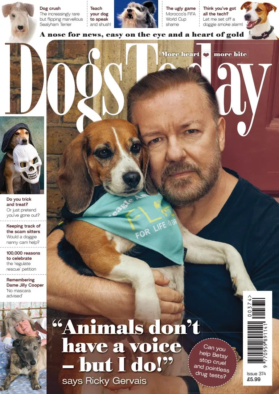 Dogs Today Magazine