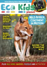 Eco Kids Planet Magazine 1
