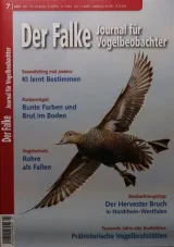 Falke (Tyska) 1