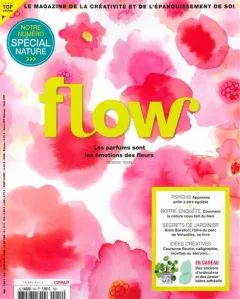 Flow (Franska)