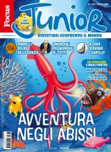 Focus Junior (Italienska) 1