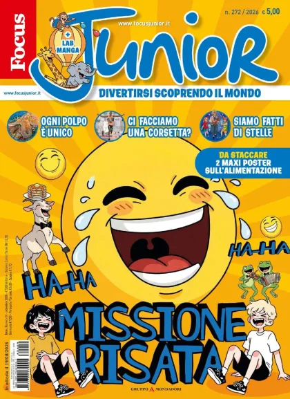 Focus Junior (Italienska)
