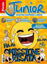 Focus Junior (Italienska) 1