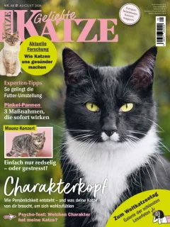 Geliebte Katze (Tyska)