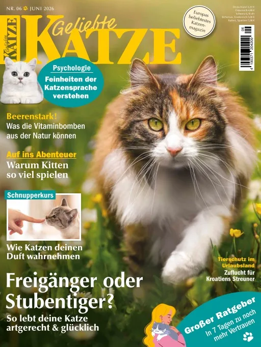 Geliebte Katze (Tyska)