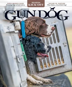 Gun Dog Magazine