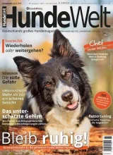 Hundewelt (Tyska) 1