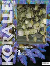 Koralle (Tyska) 1