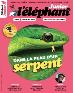 L'Eléphant Junior (Franska)