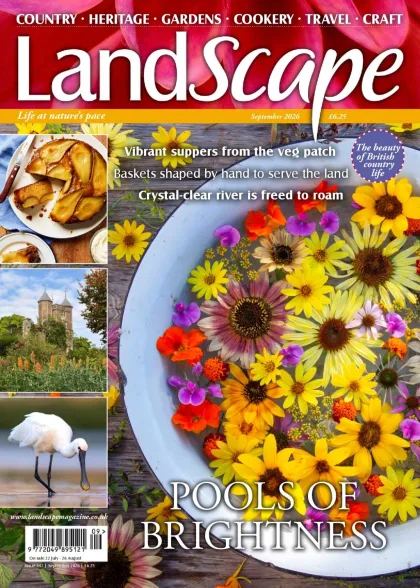 LandScape Magazine