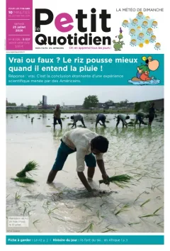 Le Petit Quotidien (Franska)