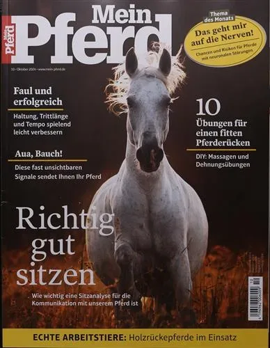 Mein Pferd (Tyska)