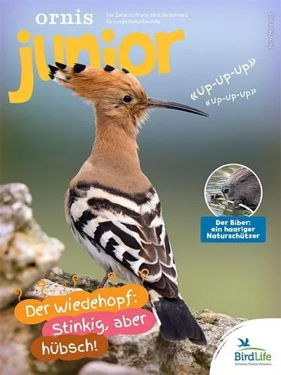 Ornis Junior (Tyska)