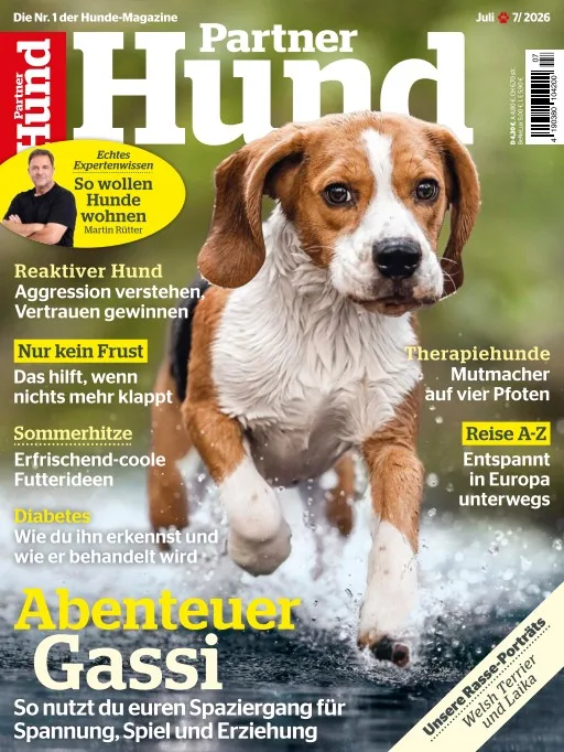 Partner Hund (Tyska)