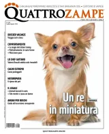 Quattro Zampe (Italienska) 1