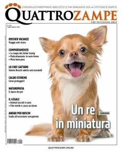 Quattro Zampe (Italienska)