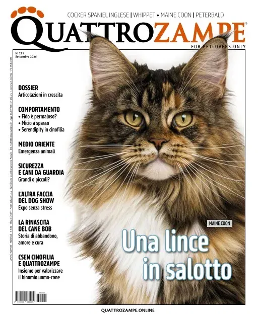 Quattro Zampe (Italienska)
