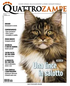 Quattro Zampe (Italienska)