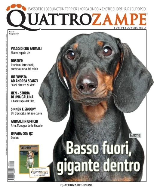 Quattro Zampe (Italienska)