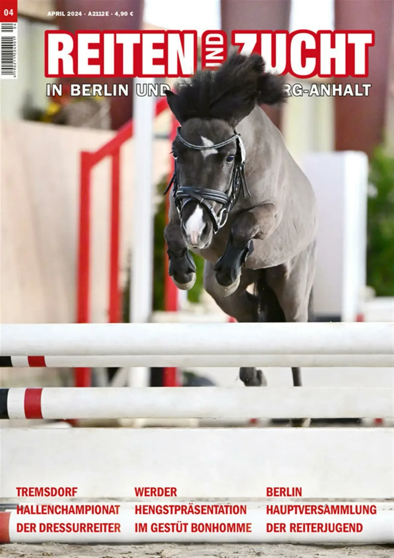 Reiten und Zucht in Berlin und Brandenburg-Anhalt (Tyska)