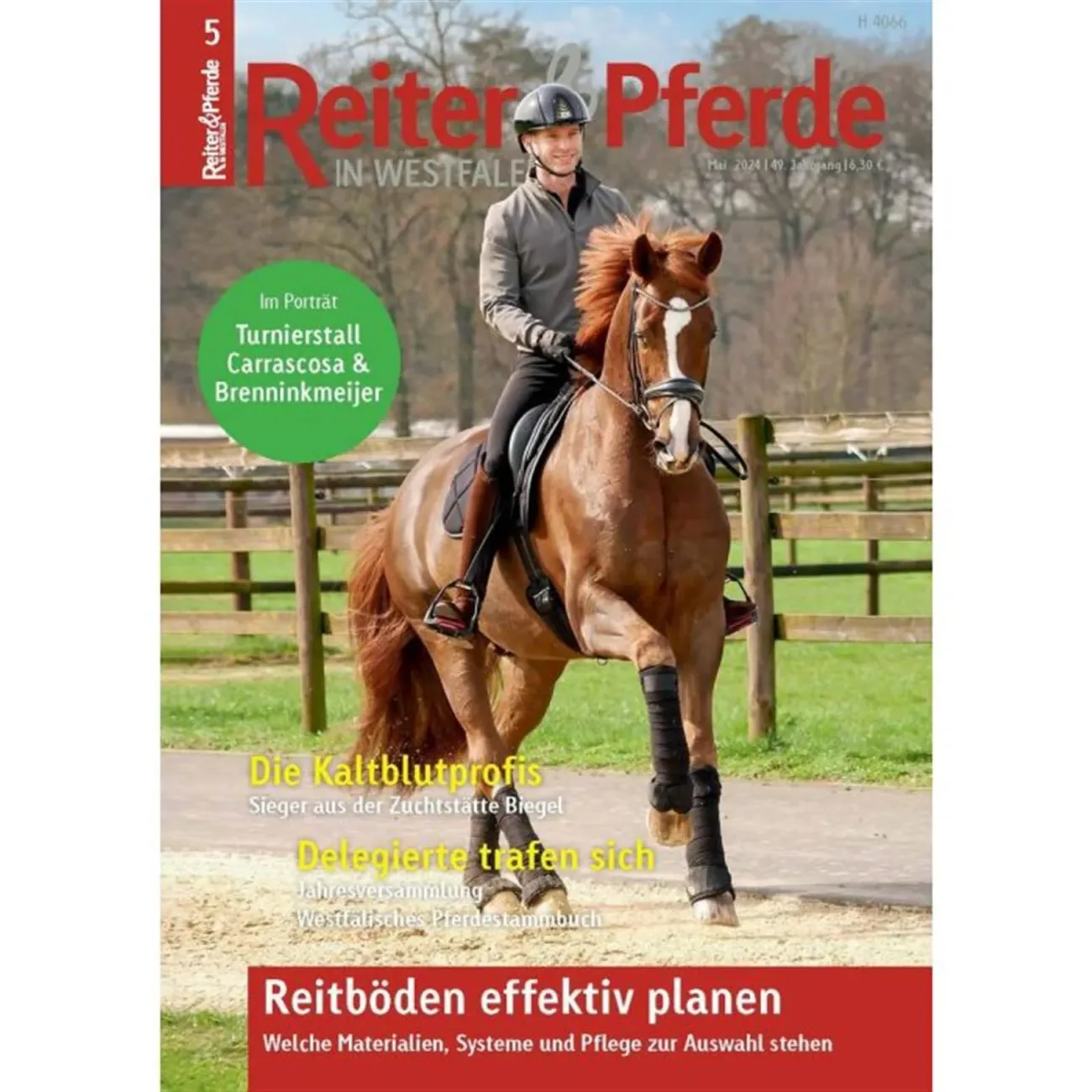 Reiter & Pferde in Westfalen (Tyska)